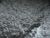 gypsum rotary kiln raw material 