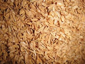 rice husk carbonization 