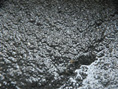 rotary dryer raw material 